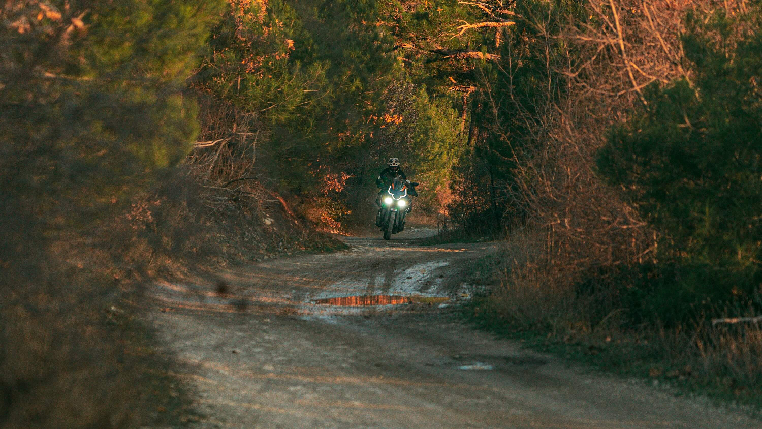 Мотоцикл ZONTES ZT703-F TOUR 21/18