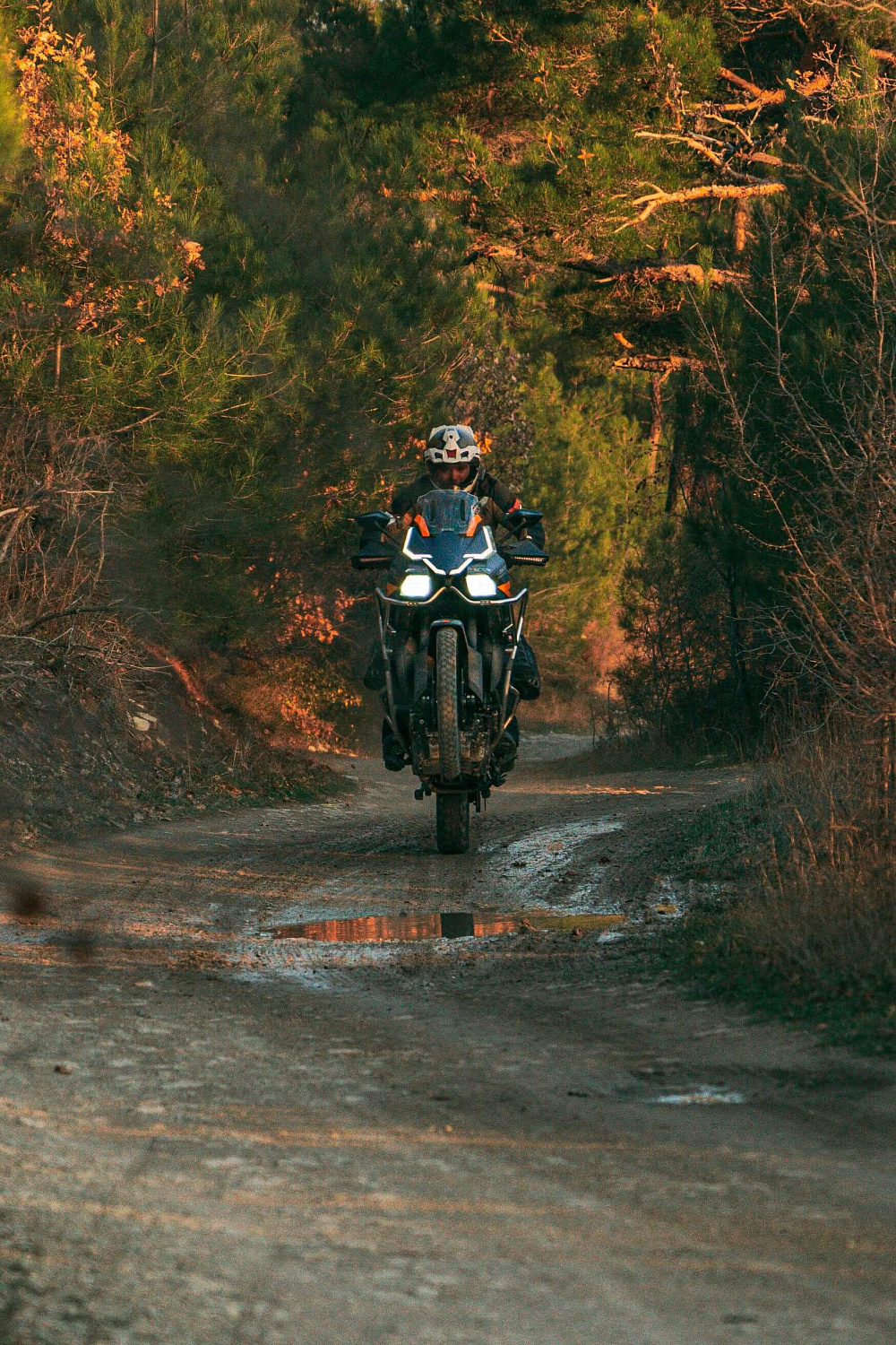 Мотоцикл ZONTES ZT703-F TOUR 21/18